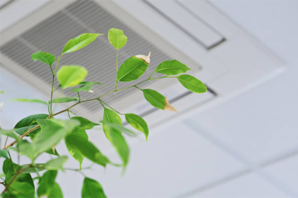 vvs køge - ventilation sundt indeklima 600x400
